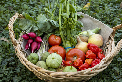 NourishedRx Produce Bundle. Photo Credit TJ Turner, The Good Acre.