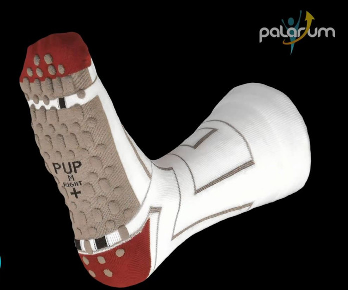 Palarum SmartSock