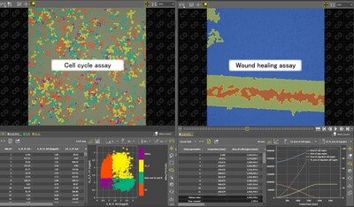 Left: Example of cell cycle assay results (cells are color-coded according to their specific stage in the cell cycle). Right: Example of wound healing assay results (blue: cellular area, red: gap area, yellow: area of confirmed cell proliferation).