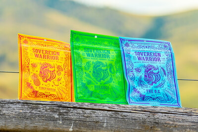 Sovereign Warrior 100% grass-fed bison jerky