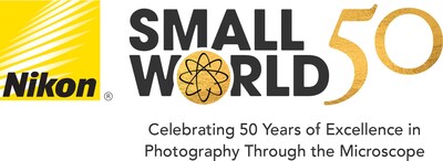 Nikon Small World (PRNewsfoto/Nikon Instruments Inc.)