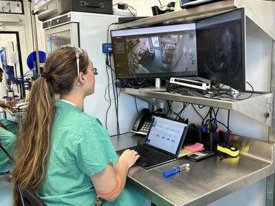 Pharmacy staff monitoring pharmacy operations digitally