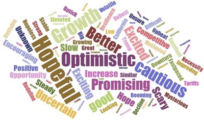 ASI asked promo distributors what one word best describes their expectations for 2025. ASI asked promo distributors what one word best describes their expectations for 2025.