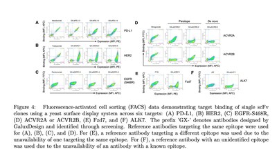 A graphical representation verifying the binding strength between the antibodies designed by GaluxDesign and each therapeutic target.