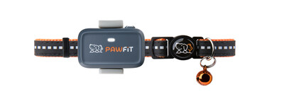 New 100% waterproof Pawfit Lite for cats and small dogs offers pet protection wherever they may go. Real time tracking with the most reliable 4G network, now available on Amazon.com.