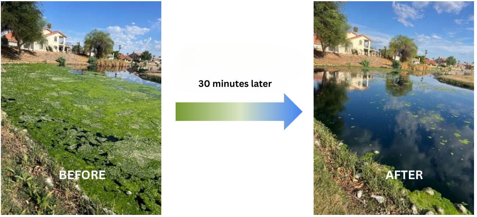 Terreplenish®, a proprietary organic microbial solution that serves as an alternative to chemical fertilizers