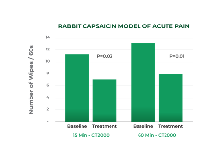 RABBIT CAPSAICIN MODEL OF ACUTE PAIN