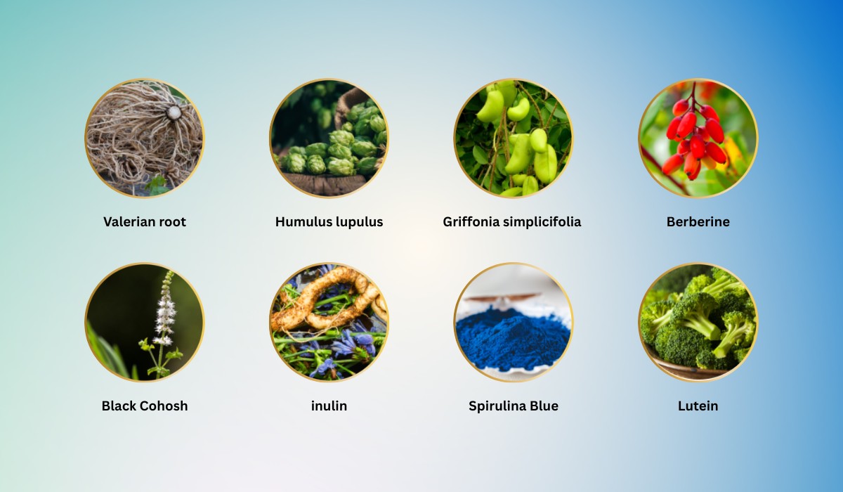 Sumatra Slim Belly Tonic Ingredients