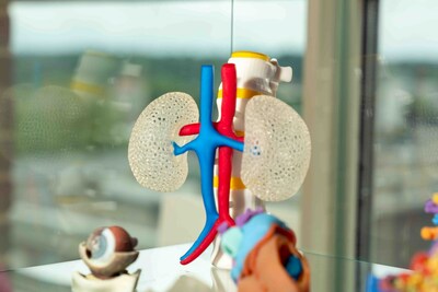 Ricoh 3D printed models.