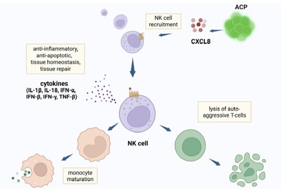 Cannot view this image? Visit: https://healthtechnologynet.com/wp-content/uploads/2025/07/260846_d1729e68f4832a43_001.jpg