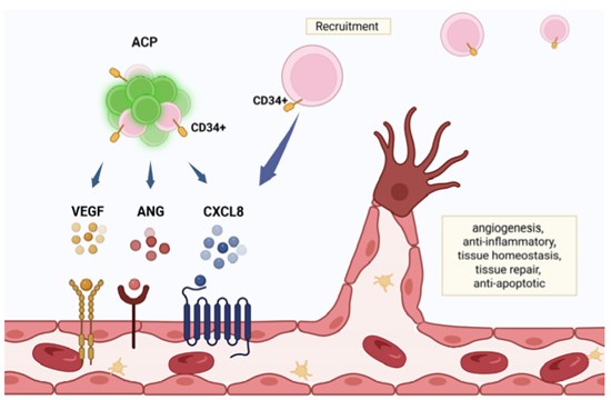 Cannot view this image? Visit: https://healthtechnologynet.com/wp-content/uploads/2025/07/260846_d1729e68f4832a43_002.jpg