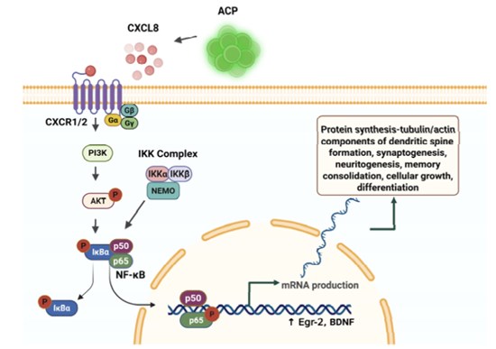 Cannot view this image? Visit: https://healthtechnologynet.com/wp-content/uploads/2025/07/260846_d1729e68f4832a43_003.jpg
