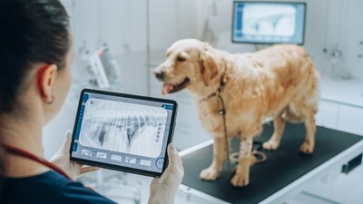 The AVMA is building awareness around emerging technologies, while ensuring they are not replacements for a veterinarian’s expertise, compassion, and judgment. Veterinary professionals remain at the center of curating and interpreting data that is clinically relevant and ethically sourced.
