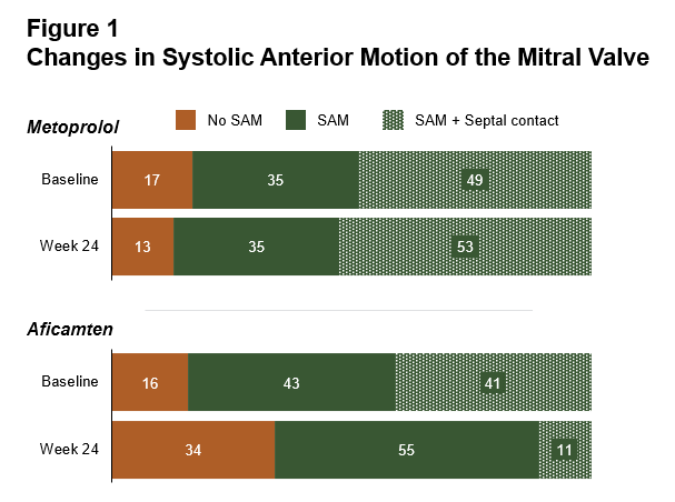 MAPLE-HCM Echo Figure 1
