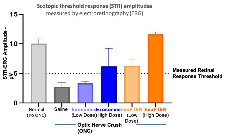 Scotopic threshold response (STR) by electroretinography (ERG)