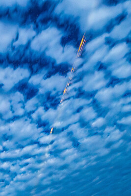 Photo by William Godward.