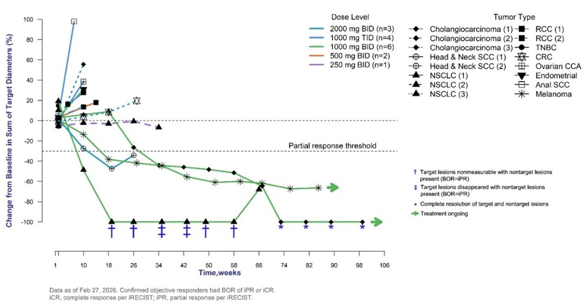 Percent Change from Baseline in Tumor Size by Week