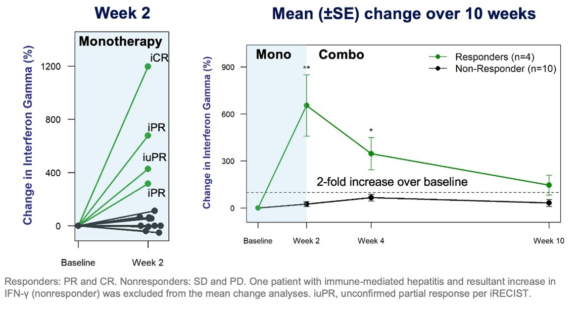 Percentage Change (+, -) from Baseline in Plasma IFN- &gamma;