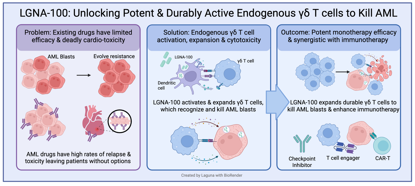 Mechanism of Action: LGNA-100 Activated &gamma;&delta; T cells in Acute Myeloid Leukemia (AML)